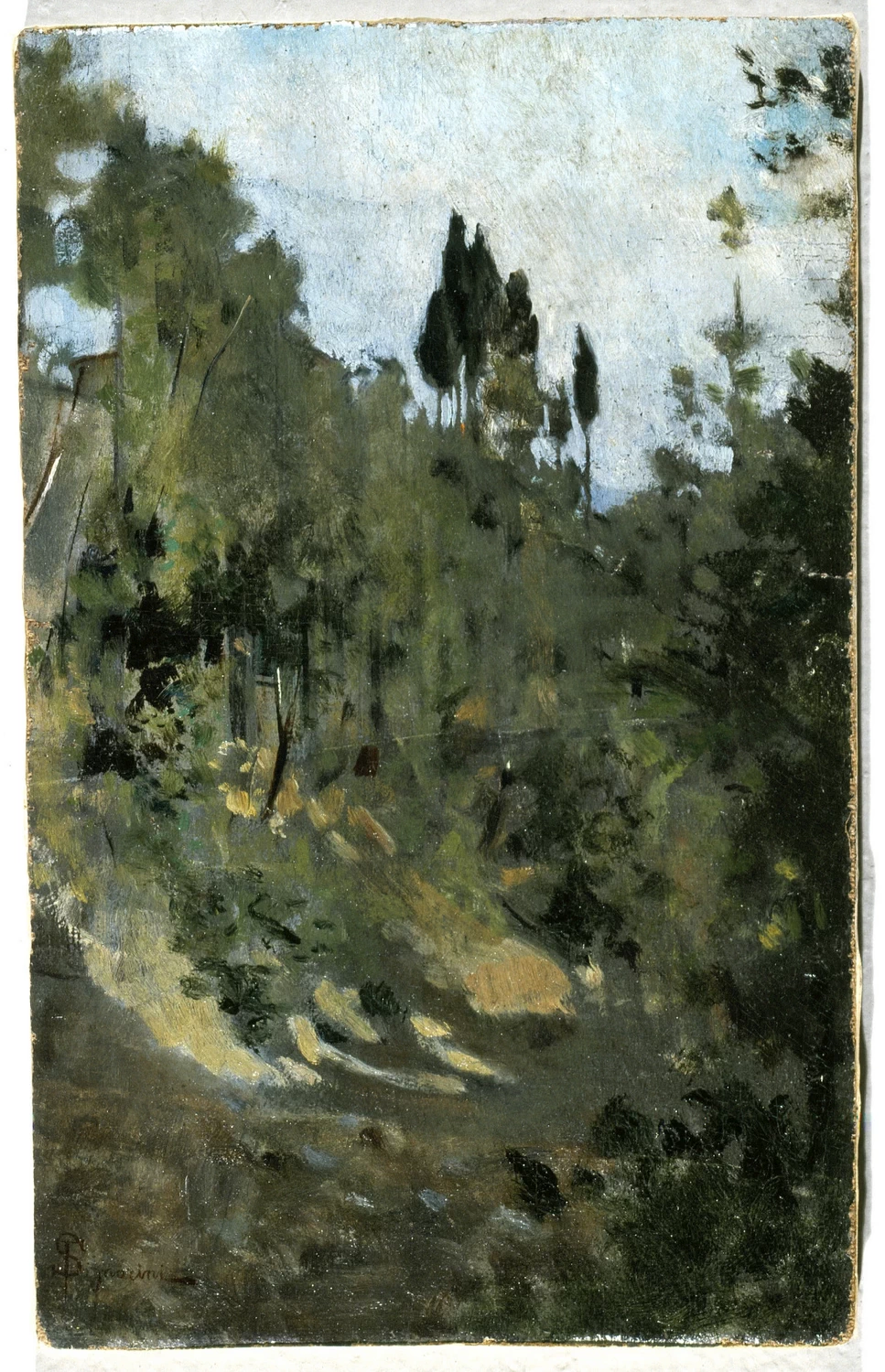 paesaggio - Palazzo Pitti, Firenze
